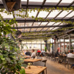 cafe benelux milwaukee retractable roof